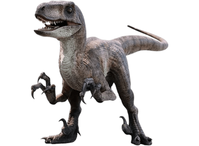 Velociraptor