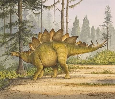 Estegossauro