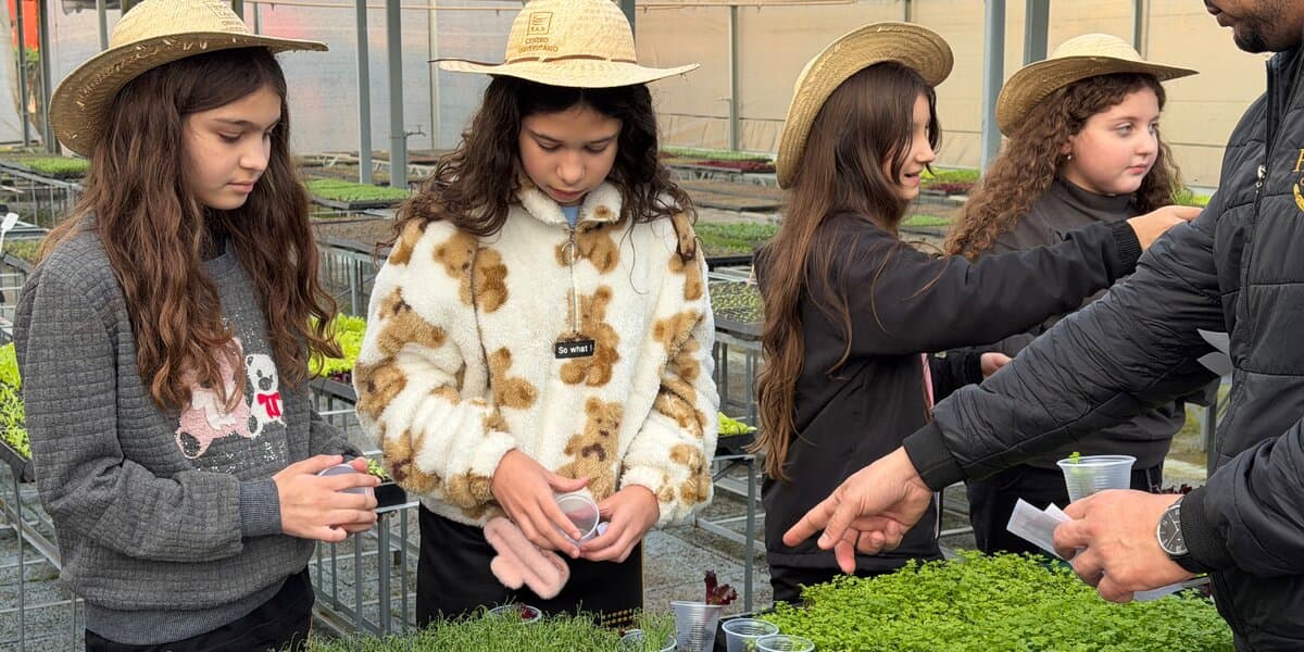 Alunos do 5° ano participam da segunda edição da Feira do Produtor Mirim